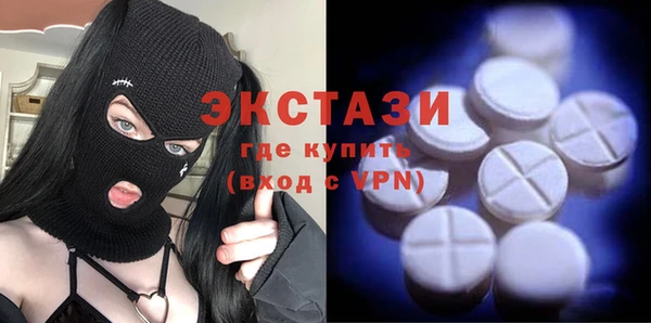 индика Нягань