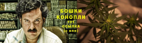 спиды Нестеровская