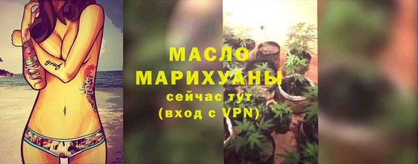 индика Нягань