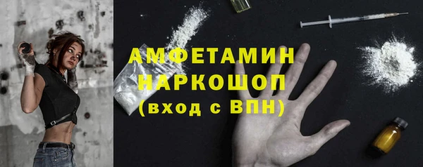 индика Нягань