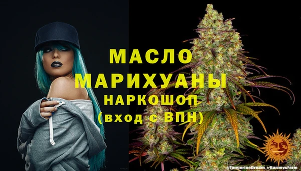 индика Нягань