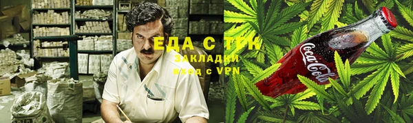 индика Нягань