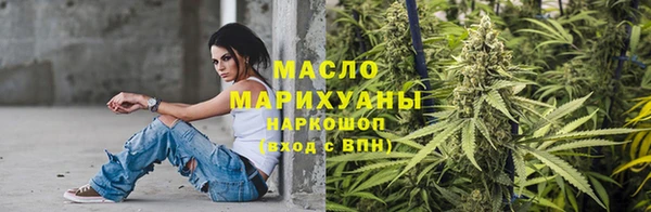 индика Нягань