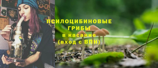 индика Нягань