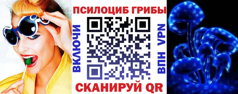 ссылка на мегу   Ростов-на-Дону  Галлюциногенные грибы GOLDEN TEACHER 