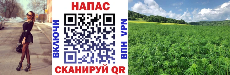 Бошки Шишки план  Ростов-на-Дону 